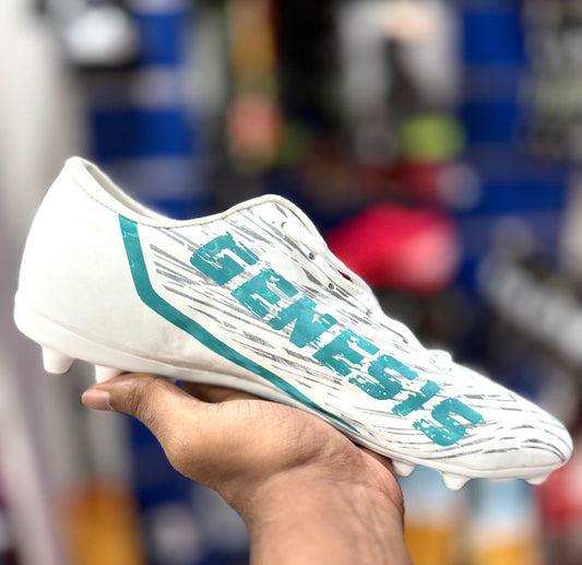 Genesis