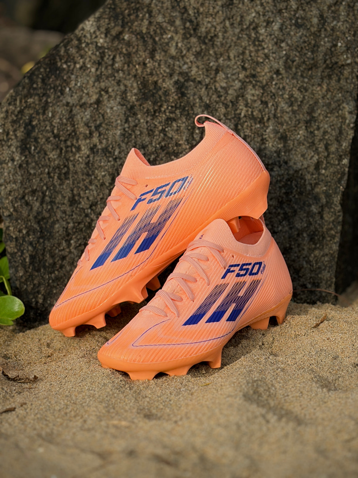 Anza F50