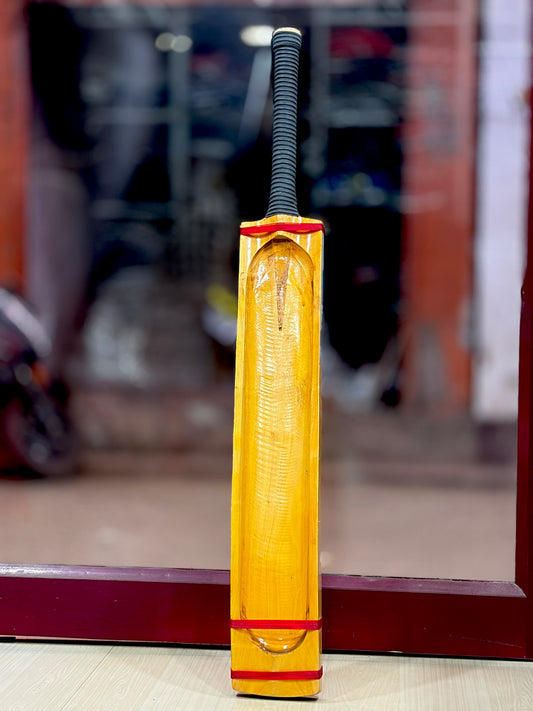 cricket bat